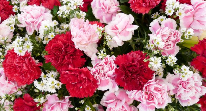 Mrs. Eva Candida Da Silva Leal 1932 ~ 2026