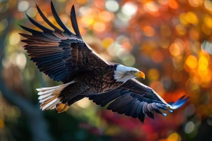 Mr. Brian Gordon Grant 1954 ~ 2026