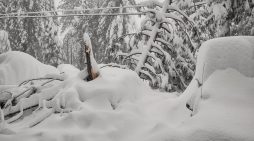 A View From Our Garage…Hate It When That Happens.