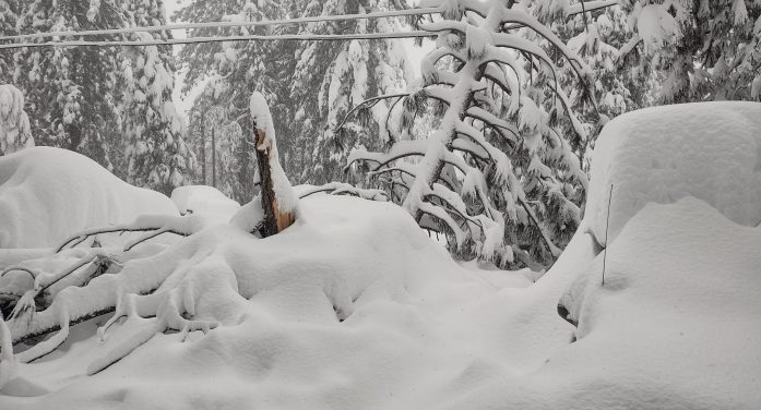 A View From Our Garage…Hate It When That Happens.