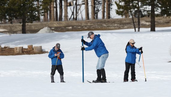 Dry January Cuts into Early-Season Snowpack Gains