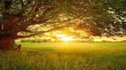 Mrs. Leila (Lee Ann) A. Gilbeau 1953 ~ 2026