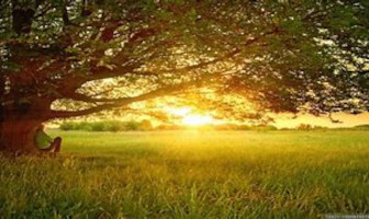 Mrs. Leila (Lee Ann) A. Gilbeau 1953 ~ 2026