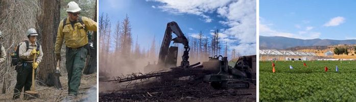 $10 Million Available to Promote Forest-Sector Business & Workforce Development