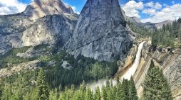 Mr. Allen Main 1948 ~ 2026