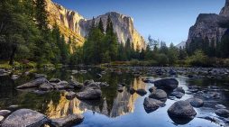 Mrs. Valerie Rae Greenlee 1956 ~ 2026