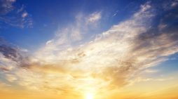 Mr. Jerell L. Williams 1987 ~ 2026