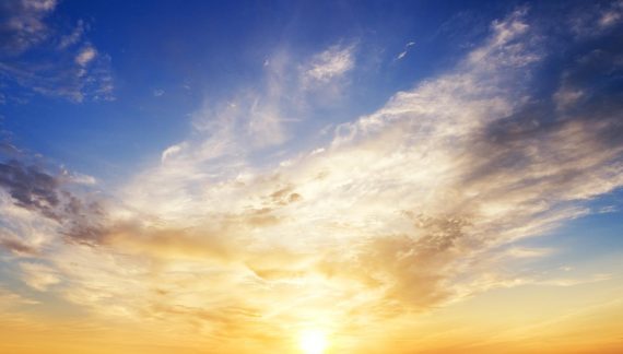 Mr. Jerell L. Williams 1987 ~ 2026