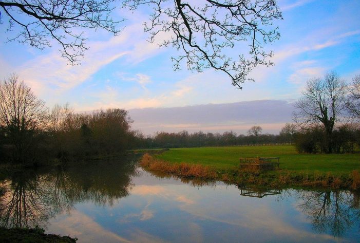 Mr. William Fred Voreyer 1949 ~ 2026