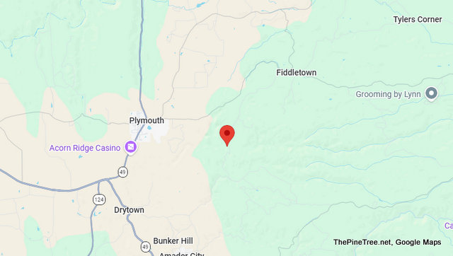 Traffic & Bovine Update….Cows in the Roadway Near Quartz Mountain Rd N / Gold Valley Rd