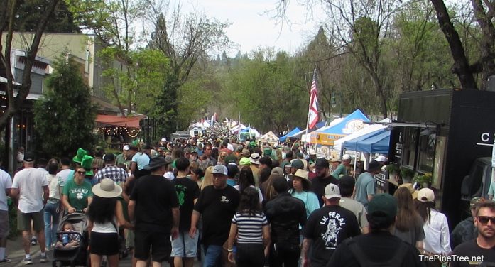 We Hope You Had a Wonderful Irish Day!  Photos, Parade Video & Sky Cam up Soon!