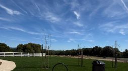 Historic Eureka Oaks Project Opens to Volunteers