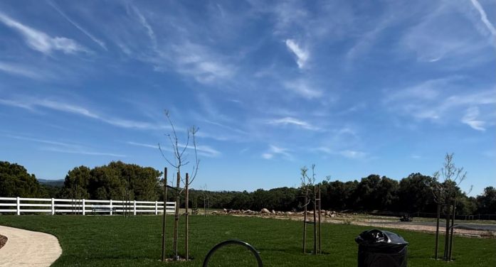 Historic Eureka Oaks Project Opens to Volunteers