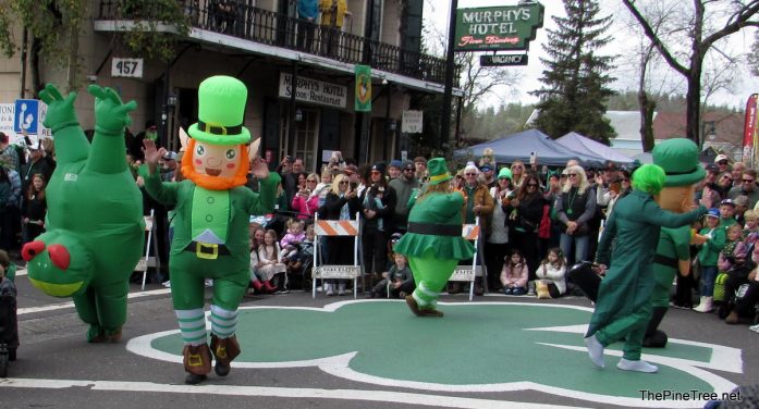 To Get You in the Irish Day 2026 Mood We Present Irish Day 2025, Over 200 Photos, Full Parade Video & More!