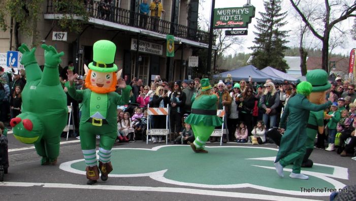 To Get You in the Irish Day 2026 Mood We Present Irish Day 2025, Over 200 Photos, Full Parade Video & More!