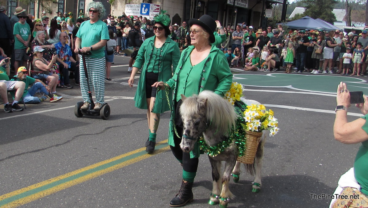 IrishDay26 (34)