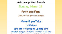 Join Fawn and Fern & Mark & parTake this Sunday!!