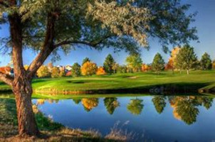 Darrol Van Auker 1931 ~ 2026