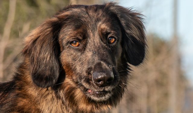 Let Longfellow Add Poetry to Your Home!