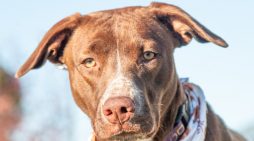 Make Tipper, Your Tipper & Let Her Join Your Family Today!!