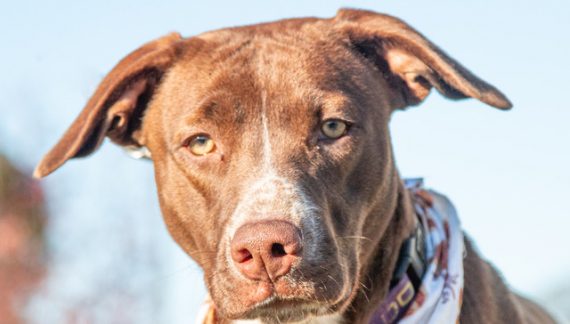 Make Tipper, Your Tipper & Let Her Join Your Family Today!!