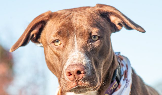 Make Tipper, Your Tipper & Let Her Join Your Family Today!!