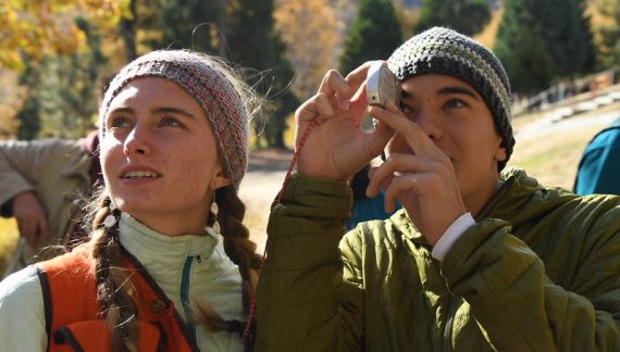 $120 Million Available for Projects That Promote Healthy Forests and Reduce Wildfire Risk