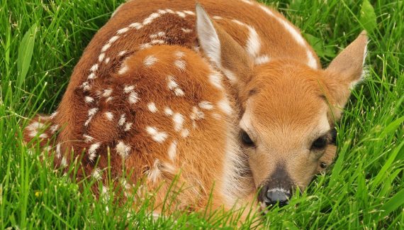 Martha Jean Rovere 1928 ~ 2026