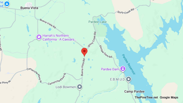 Traffic & Bovine Update….10 Cows in Roadway Near Deer Ridge Ln / Buena Vista Rd