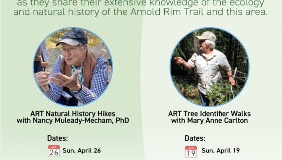 Arnold Rim Trail — Guided Natural History & Tree Identifier Walks – 2026