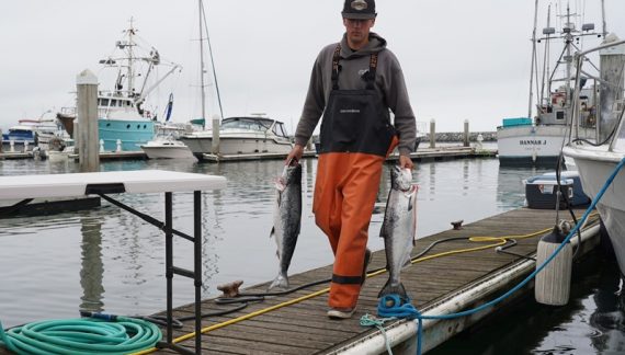 Newsom Says…”Let’s go fishing! Salmon fishing is back in California after more than 3-year closure”