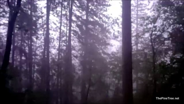 A Bit of the Fireworks Show from Tonight.