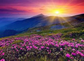 Mrs. Brittany Meredith-Layne Duggan 1983 ~ 2026