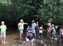 Creek Critters @ Big Trees State Park