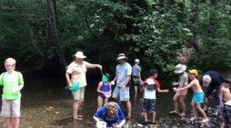 Creek Critters @ Big Trees State Park
