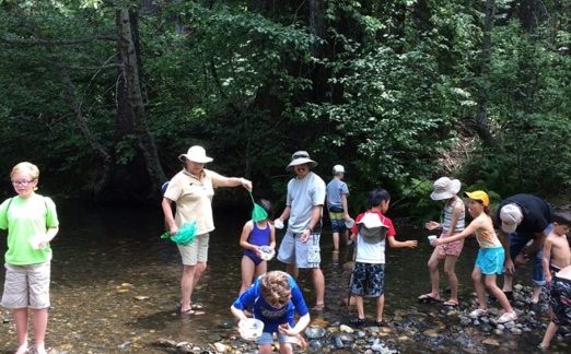 Creek Critters @ Big Trees State Park
