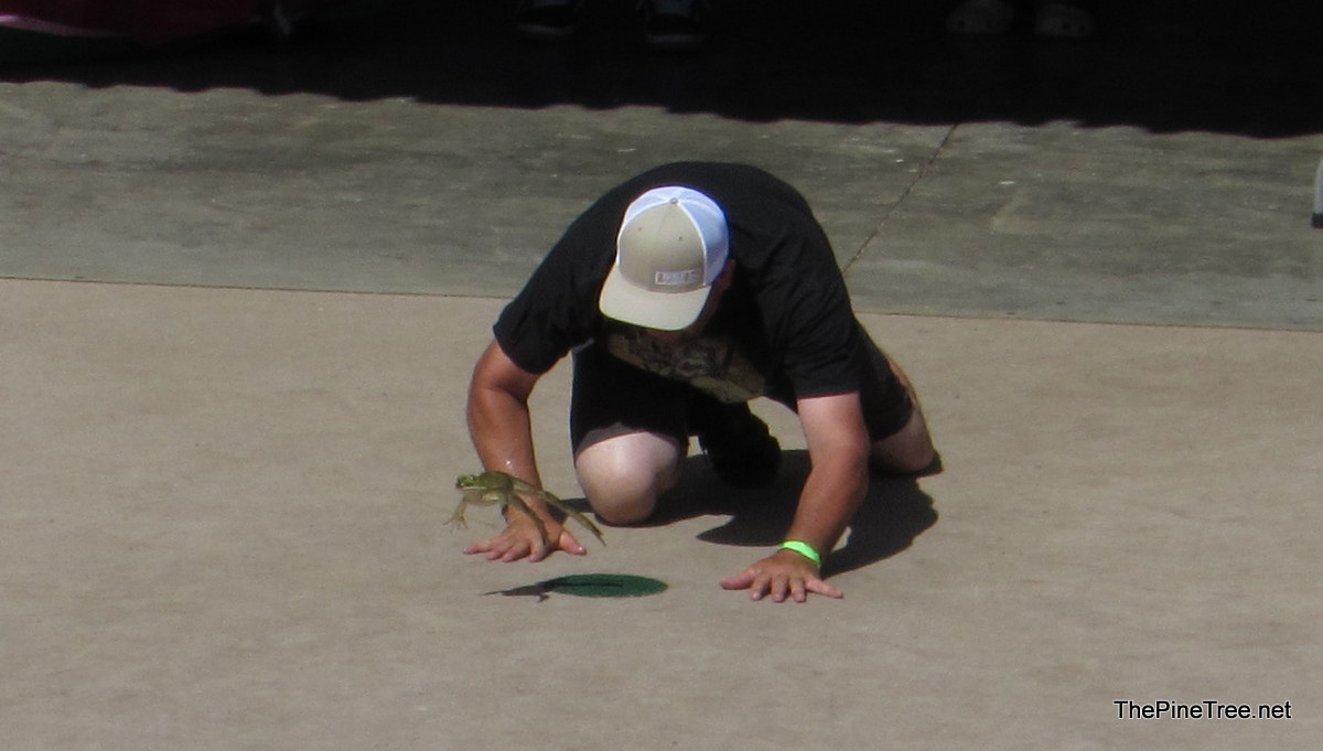 FrogJump26 (11)