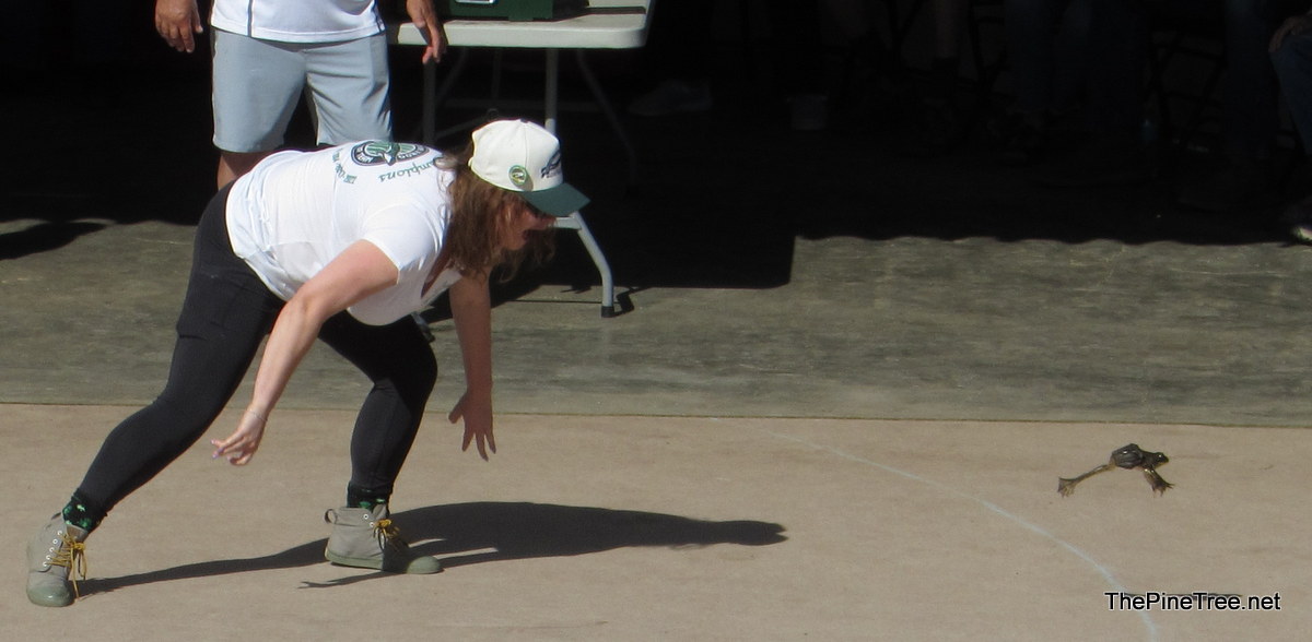 FrogJump26 (116)