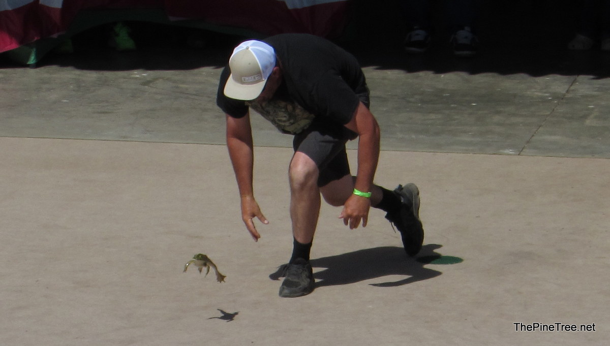 FrogJump26 (12)