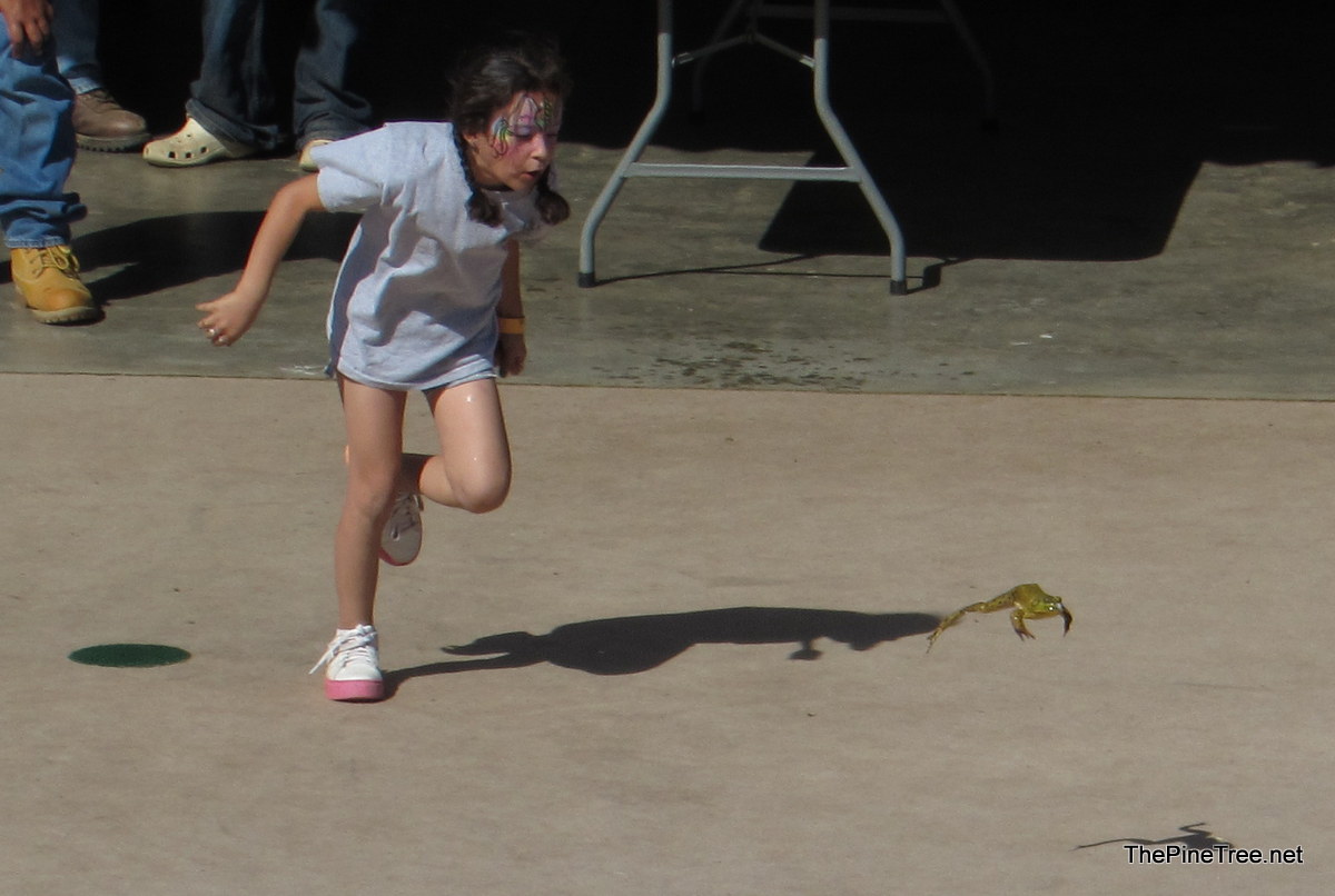 FrogJump26 (120)