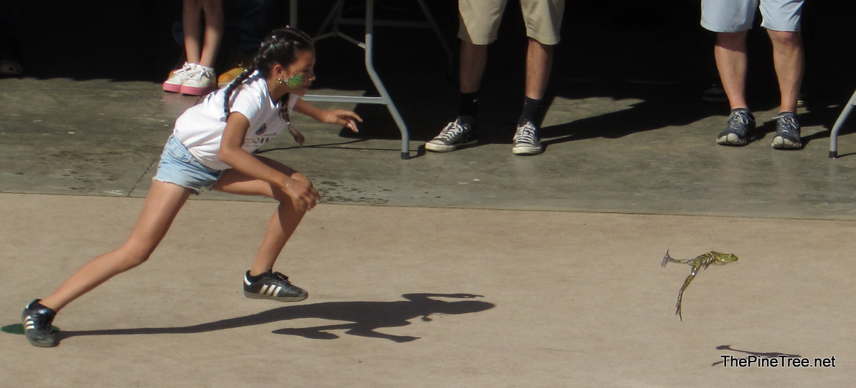 FrogJump26 (123)