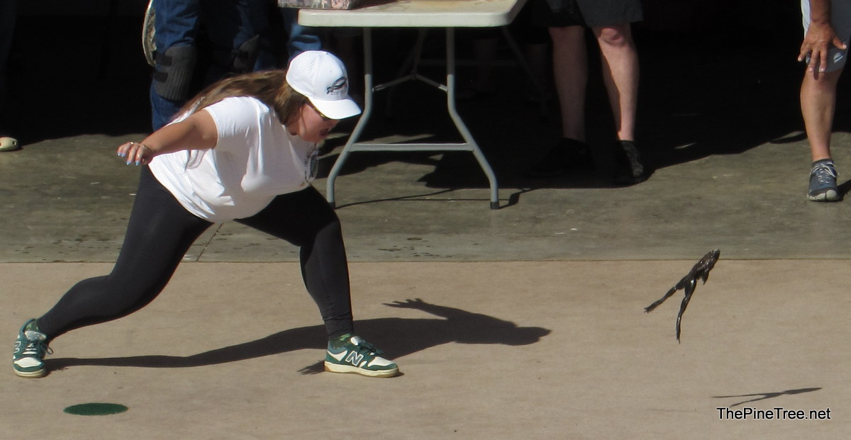 FrogJump26 (131)
