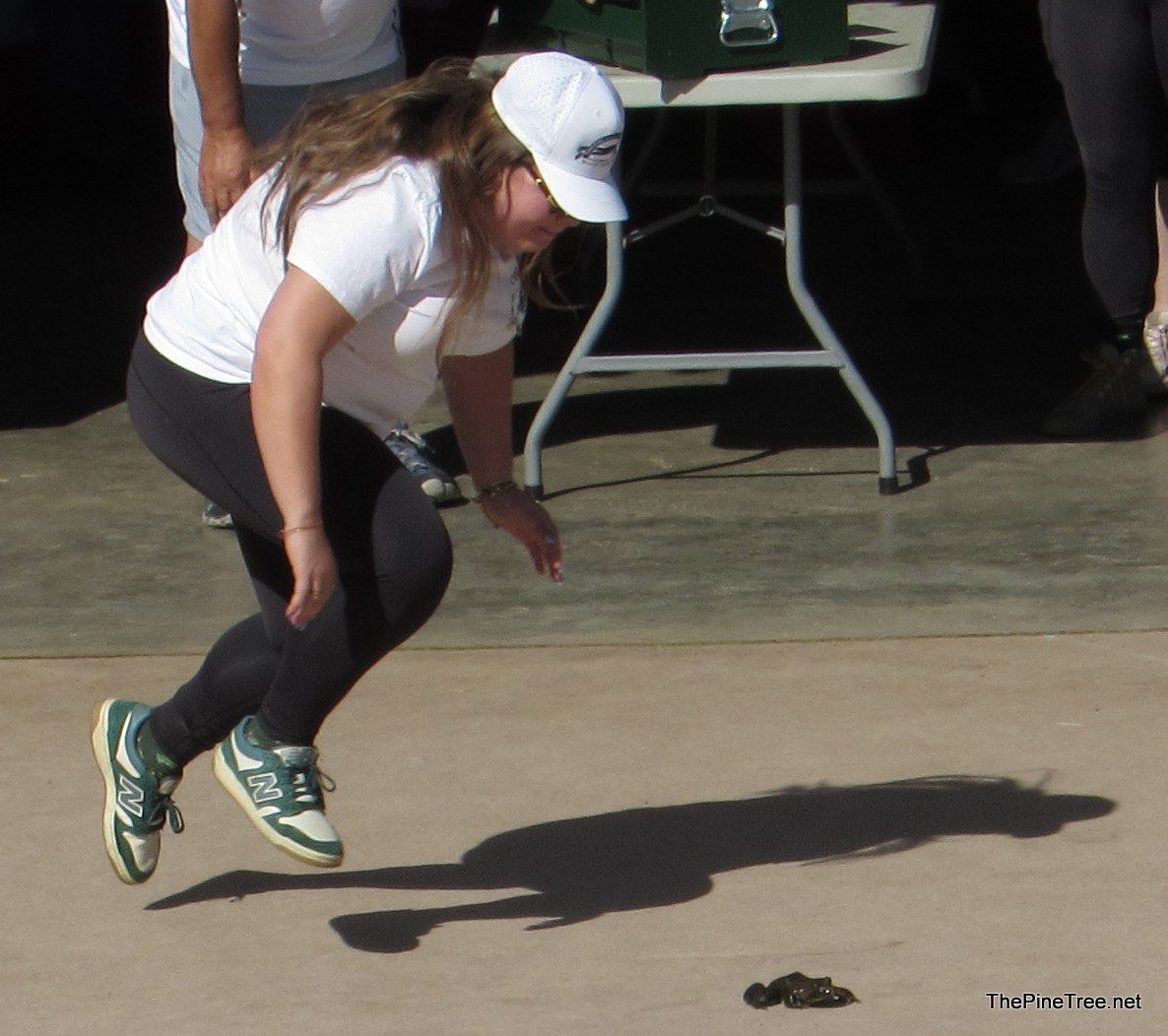 FrogJump26 (133)