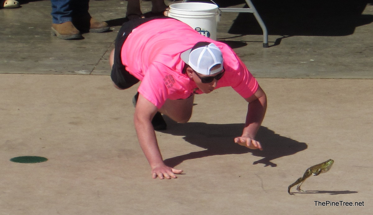 FrogJump26 (149)