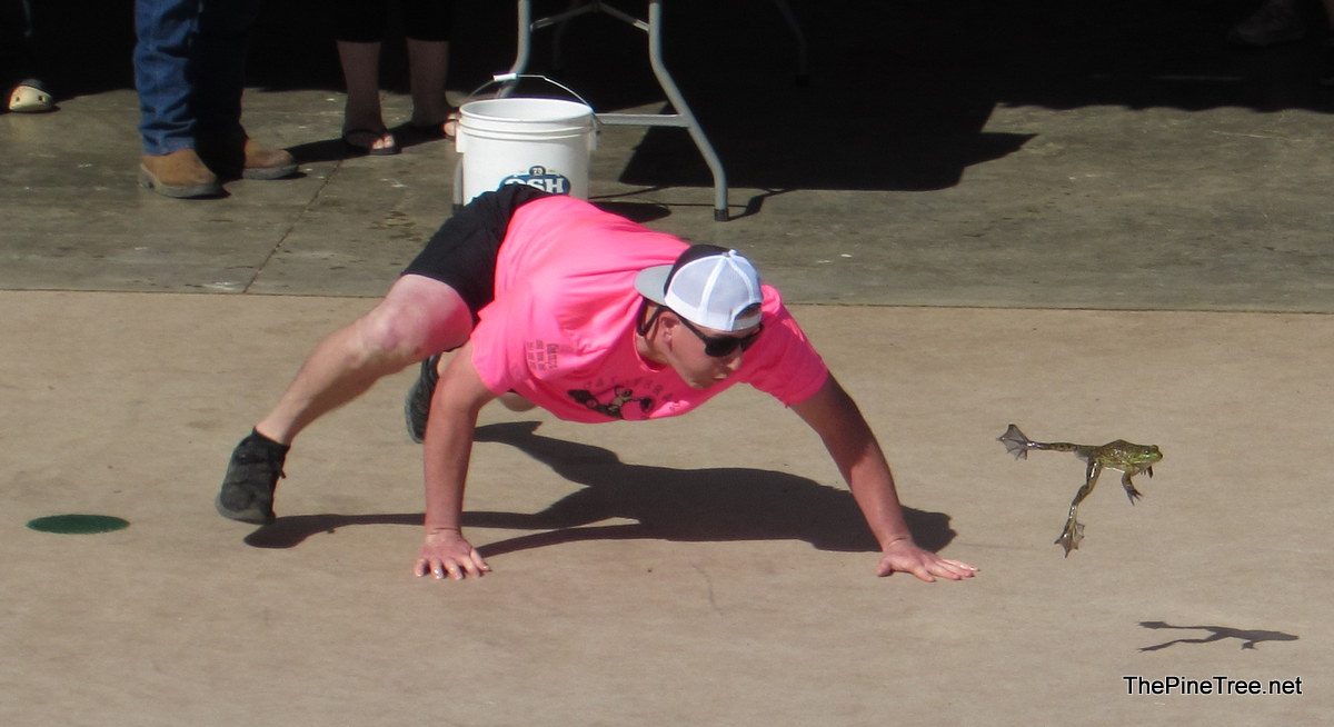 FrogJump26 (150)