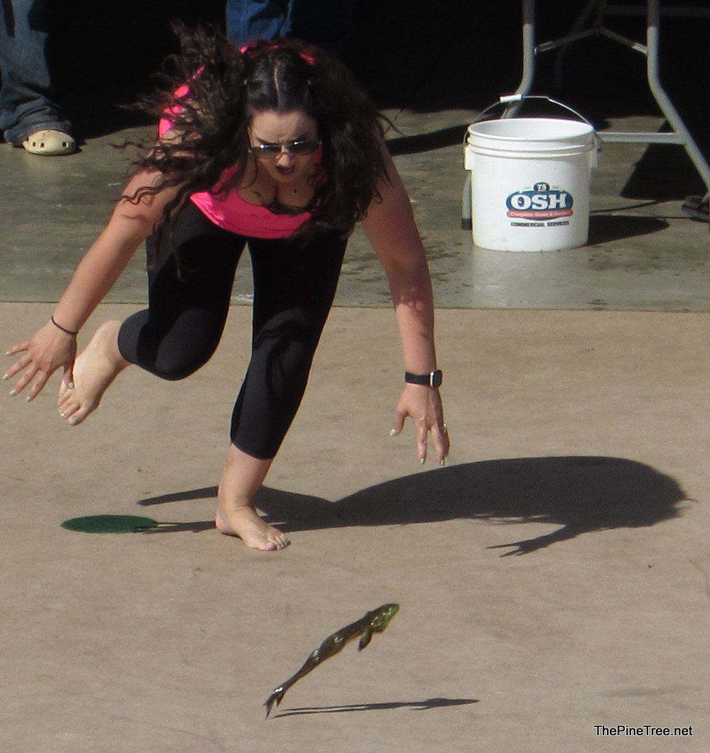 FrogJump26 (155)