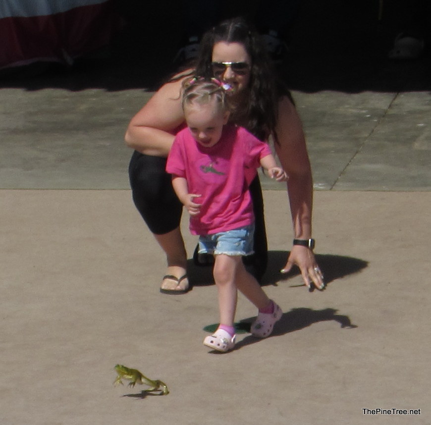 FrogJump26 (18)