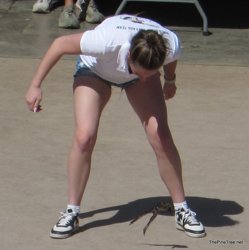 FrogJump26 (22)