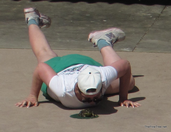 FrogJump26 (23)