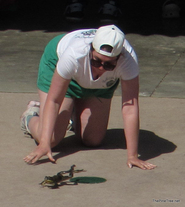 FrogJump26 (24)